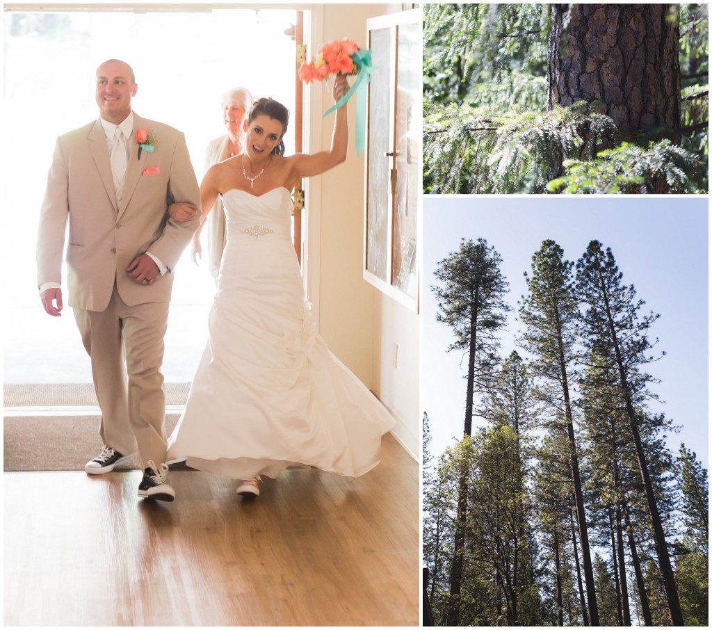 Lake Tahoe Grass Valley Wedding Pictures