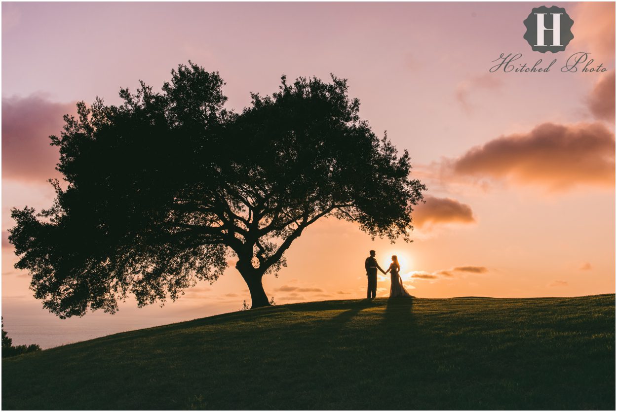 Birdal Portraits,Engagement Photos,Hitched Photo,Los Angeles,Palos Verdes Wedding Photographer,Wedding Photography,los verdes golf course wedding,